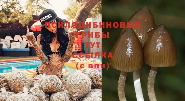 соль курить ск Алексин