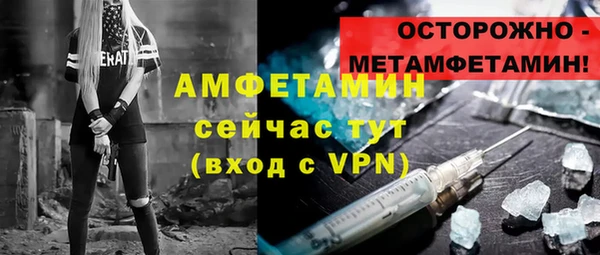 гидра Алексеевка