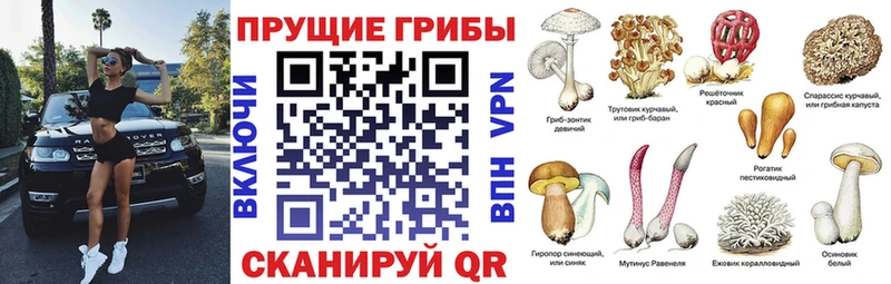 цена наркотик  Анадырь  Псилоцибиновые грибы Psilocybine cubensis 